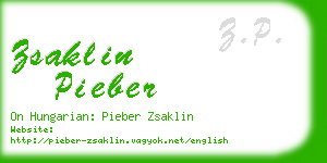 zsaklin pieber business card